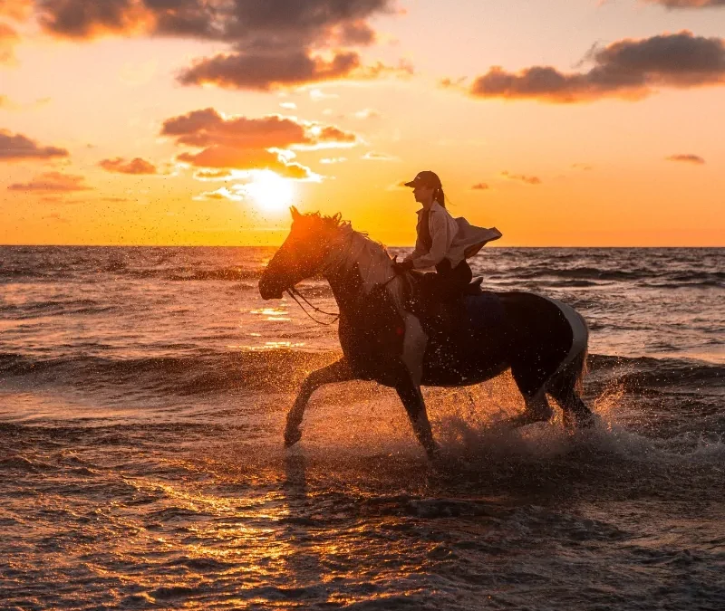 Best Time of Year to Stay at Ojochal Gardens Villas