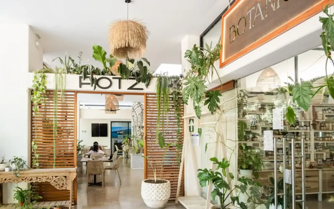 Why Ojochal Is Known for Food Lovers (And Where to Stay)